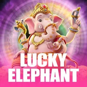 Lucky elephant