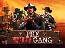 The Wild Gang